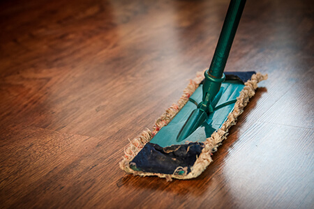 clean cleaning mop 48889